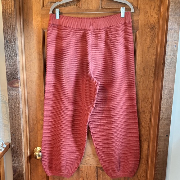 Free People Beach Canyon Sunset “Hailee” Joggers - Size XL - Picture 3 of 14
